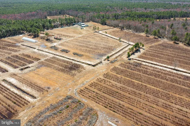 $1,250,000 | 5 Pea Patch Road, Pemberton, NJ 08068