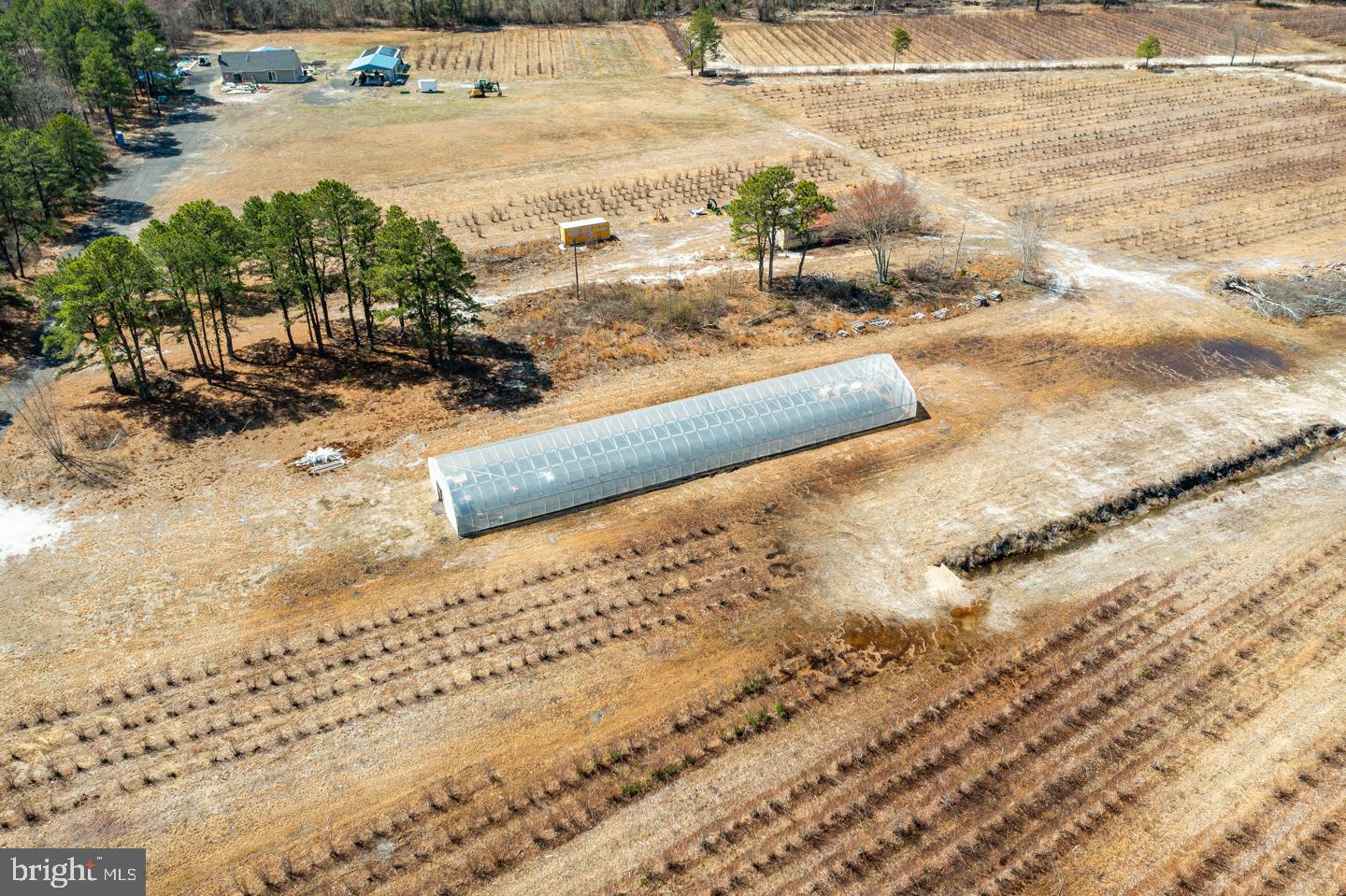 5 Pea Patch Road Pemberton, NJ 08068 - Photo 39 of 63