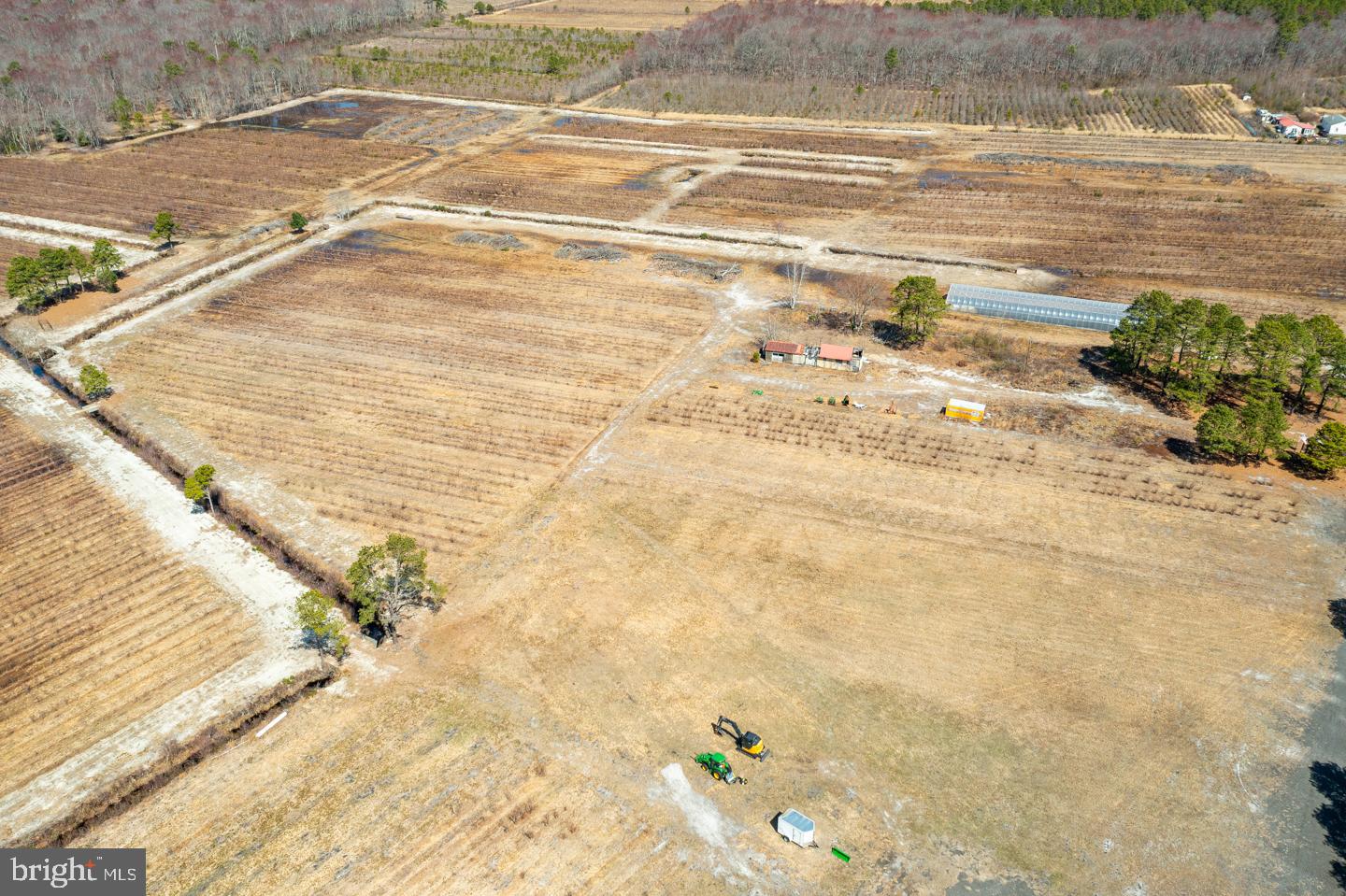 5 Pea Patch Road Pemberton, NJ 08068 - Photo 48 of 63