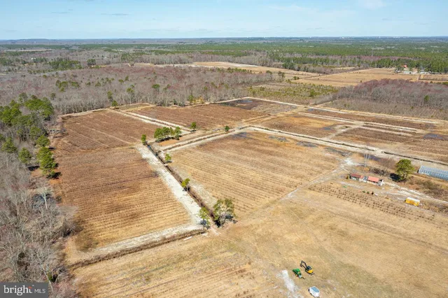 $1,250,000 | 5 Pea Patch Road, Pemberton, NJ 08068