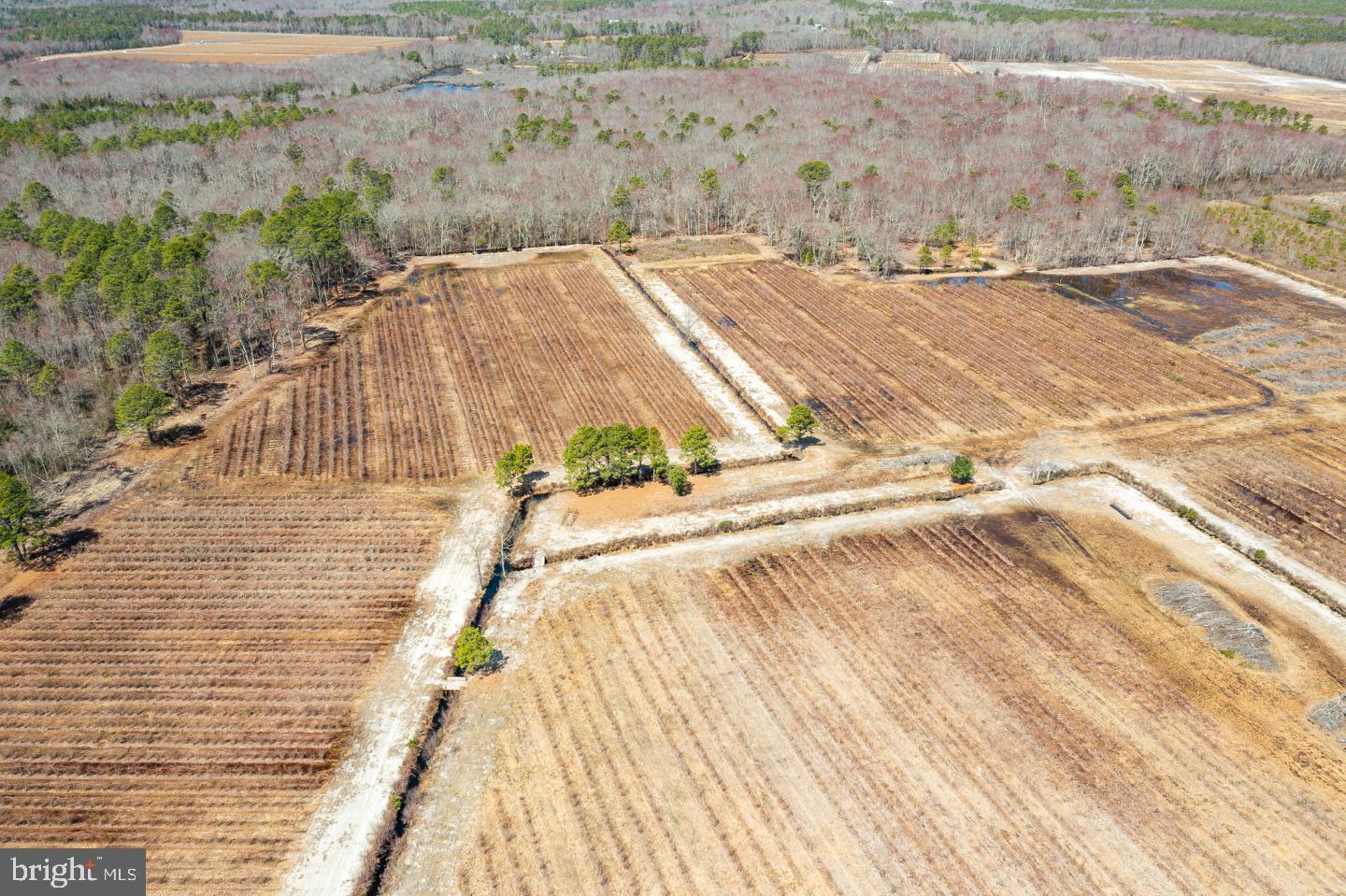 5 Pea Patch Road Pemberton, NJ 08068 - Photo 50 of 63