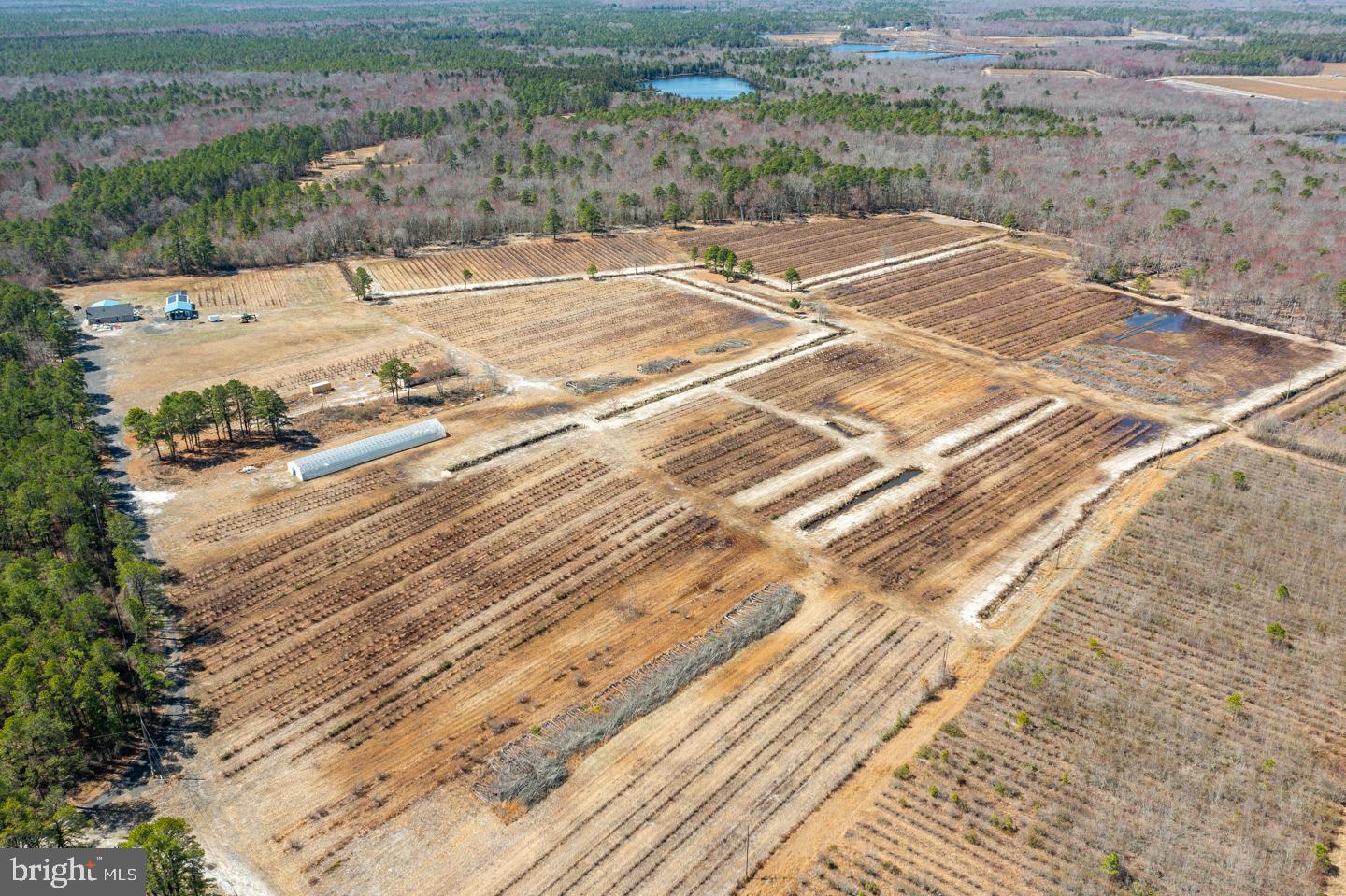 5 Pea Patch Road Pemberton, NJ 08068 - Photo 52 of 63