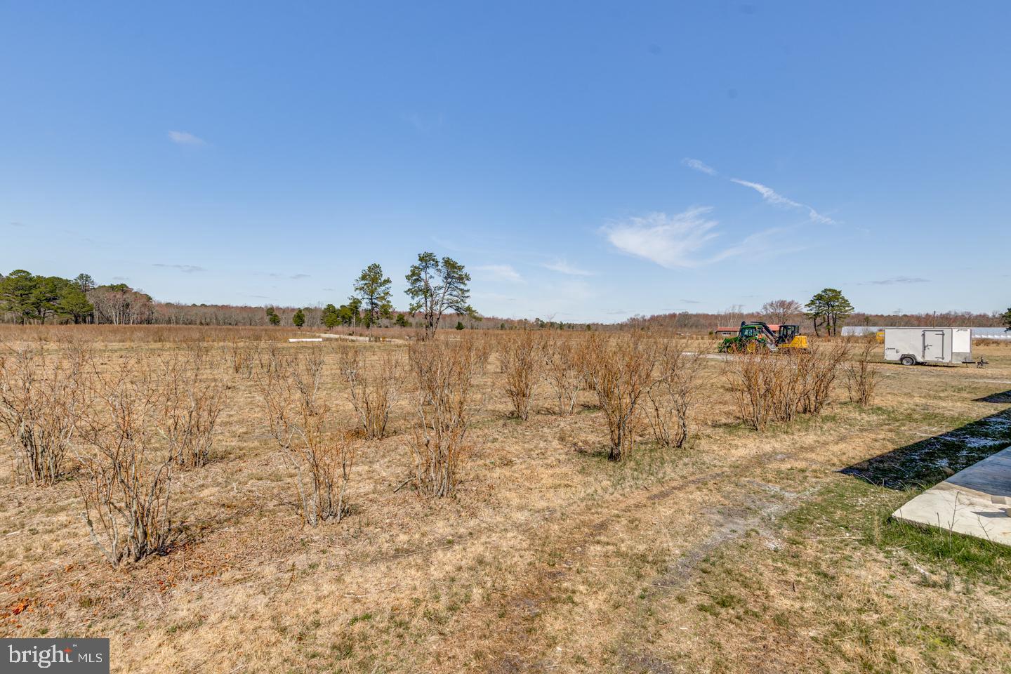 5 Pea Patch Road Pemberton, NJ 08068 - Photo 58 of 63