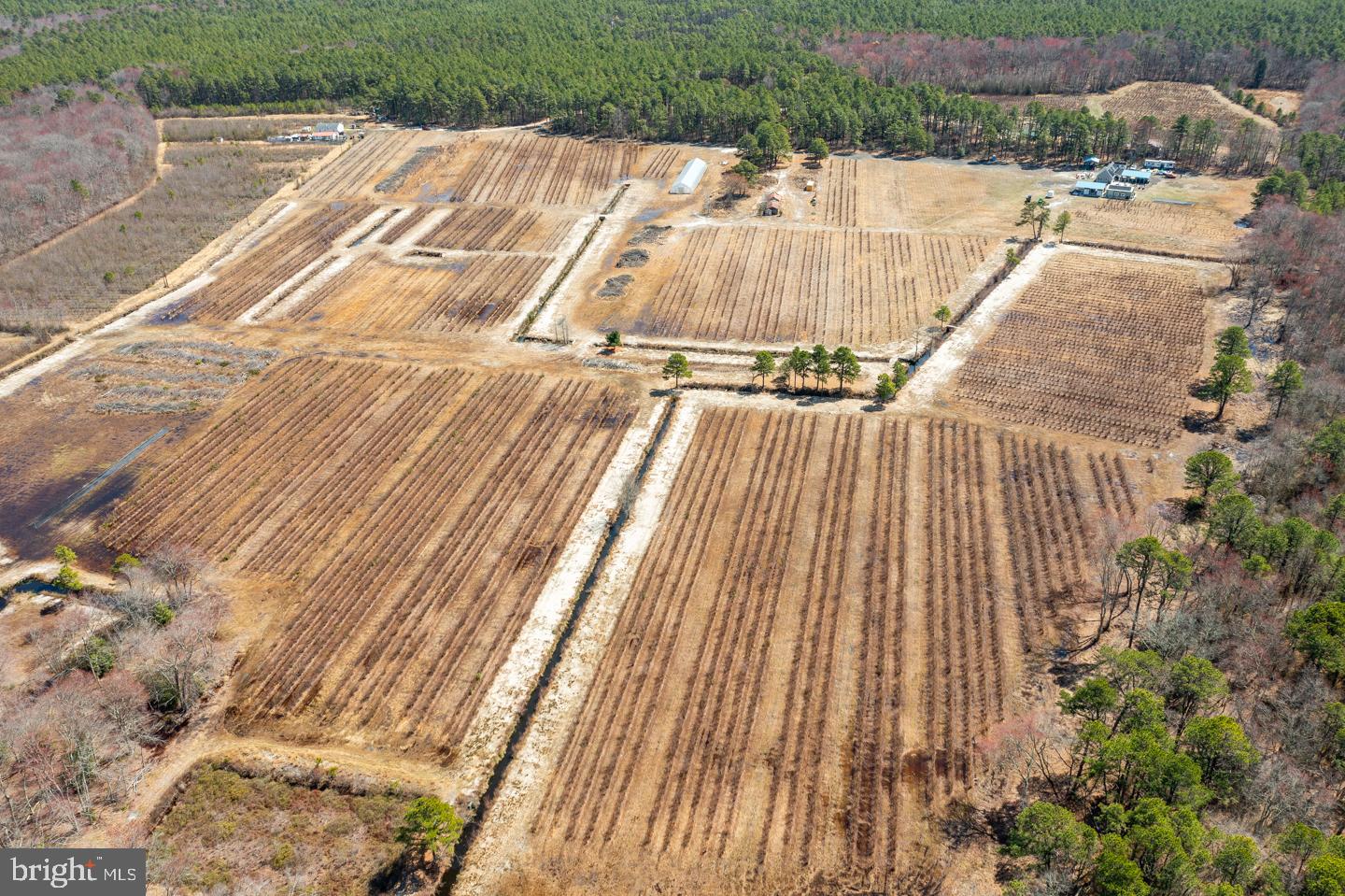 5 Pea Patch Road Pemberton, NJ 08068 - Photo 62 of 63