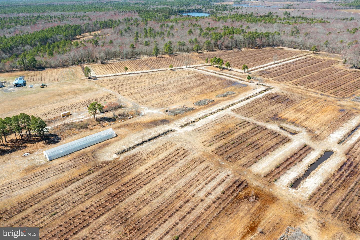 5 Pea Patch Road Pemberton, NJ 08068 - Photo 63 of 63