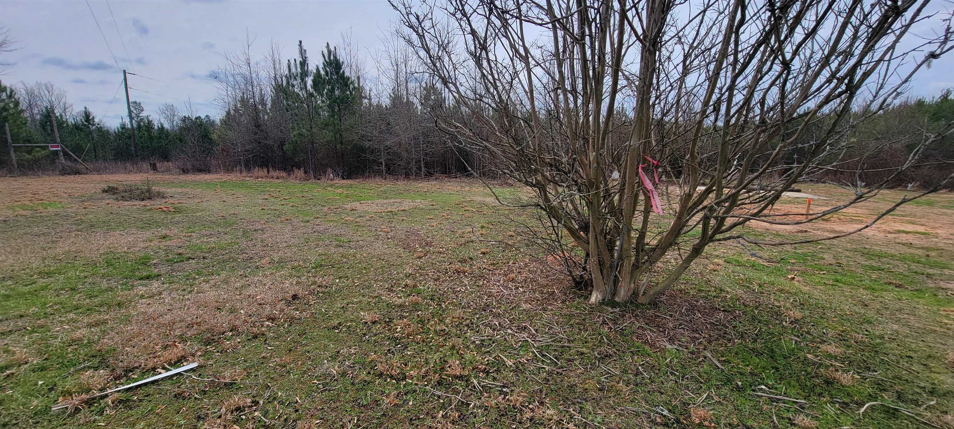 433 Williams Road Clinton, SC 29325 - Photo 8 of 22 Gallery Image 8