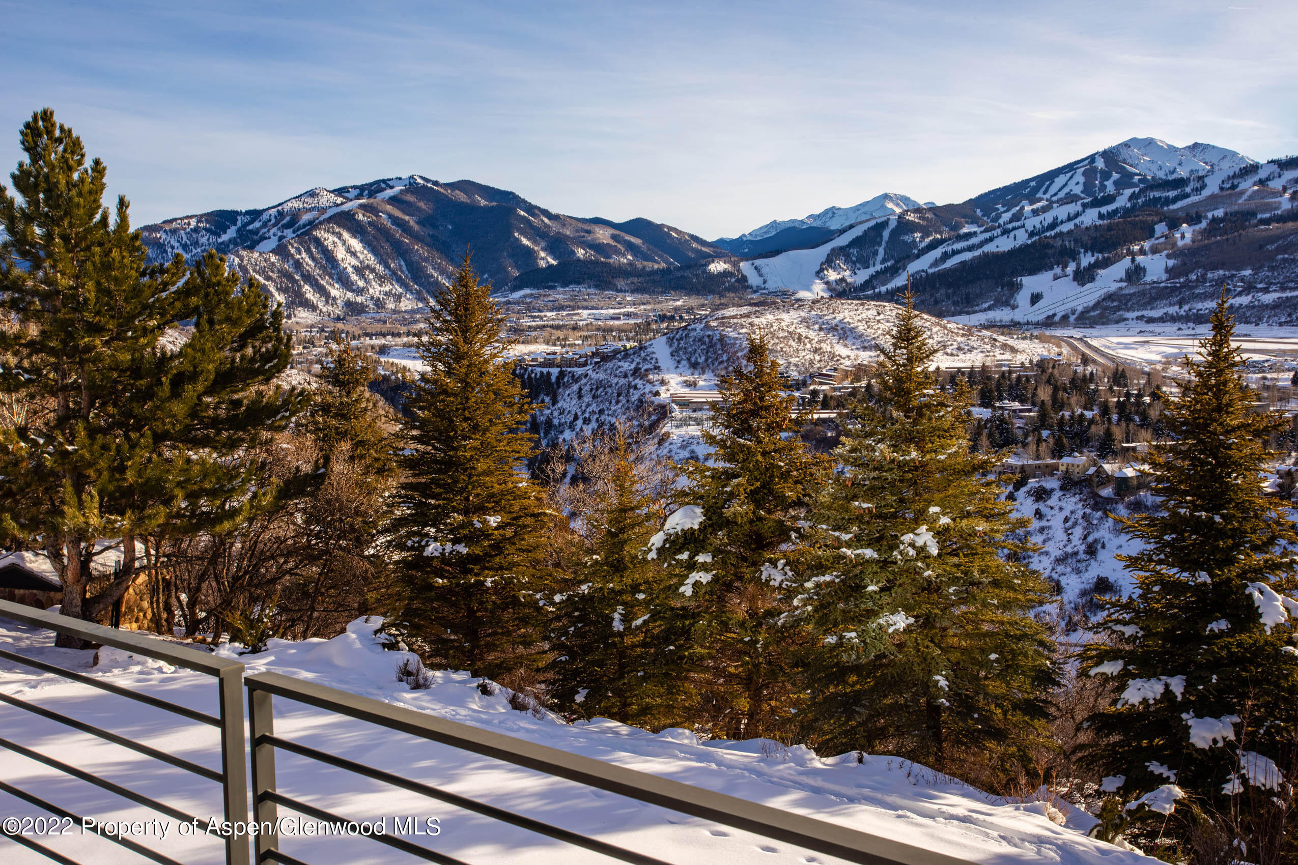 2780 McLain Flats Road Aspen, CO 81612 - Photo 20 of 46 a view of a tree with a mountain