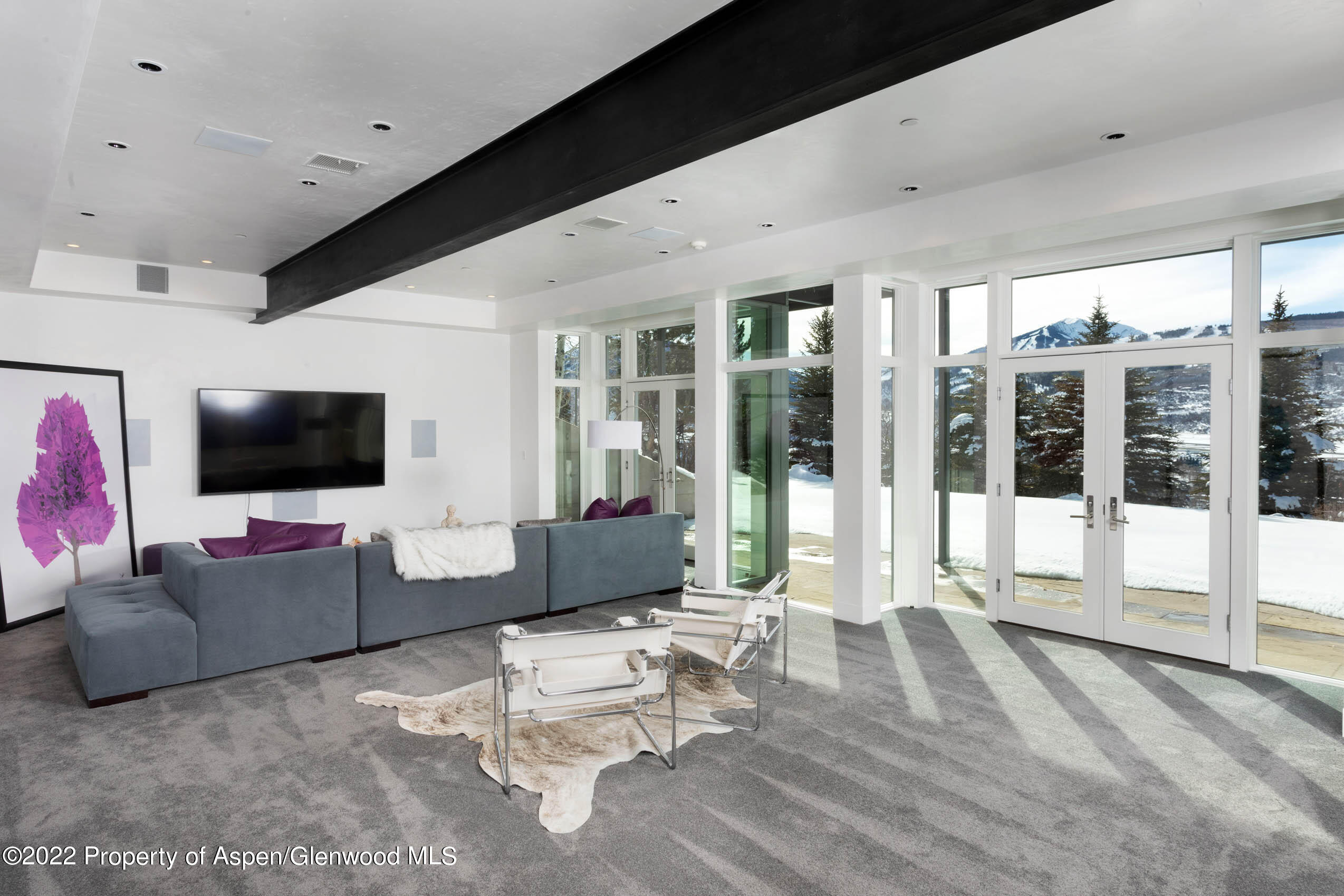 2780 McLain Flats Road Aspen, CO 81612 - Photo 34 of 46 a living room with furniture and a flat screen tv