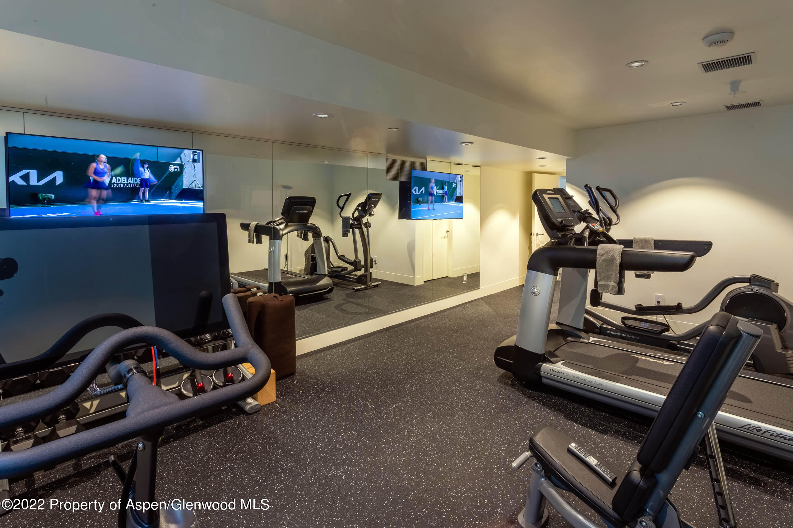 2780 McLain Flats Road Aspen, CO 81612 - Photo 36 of 46 a view of a room with gym equipment