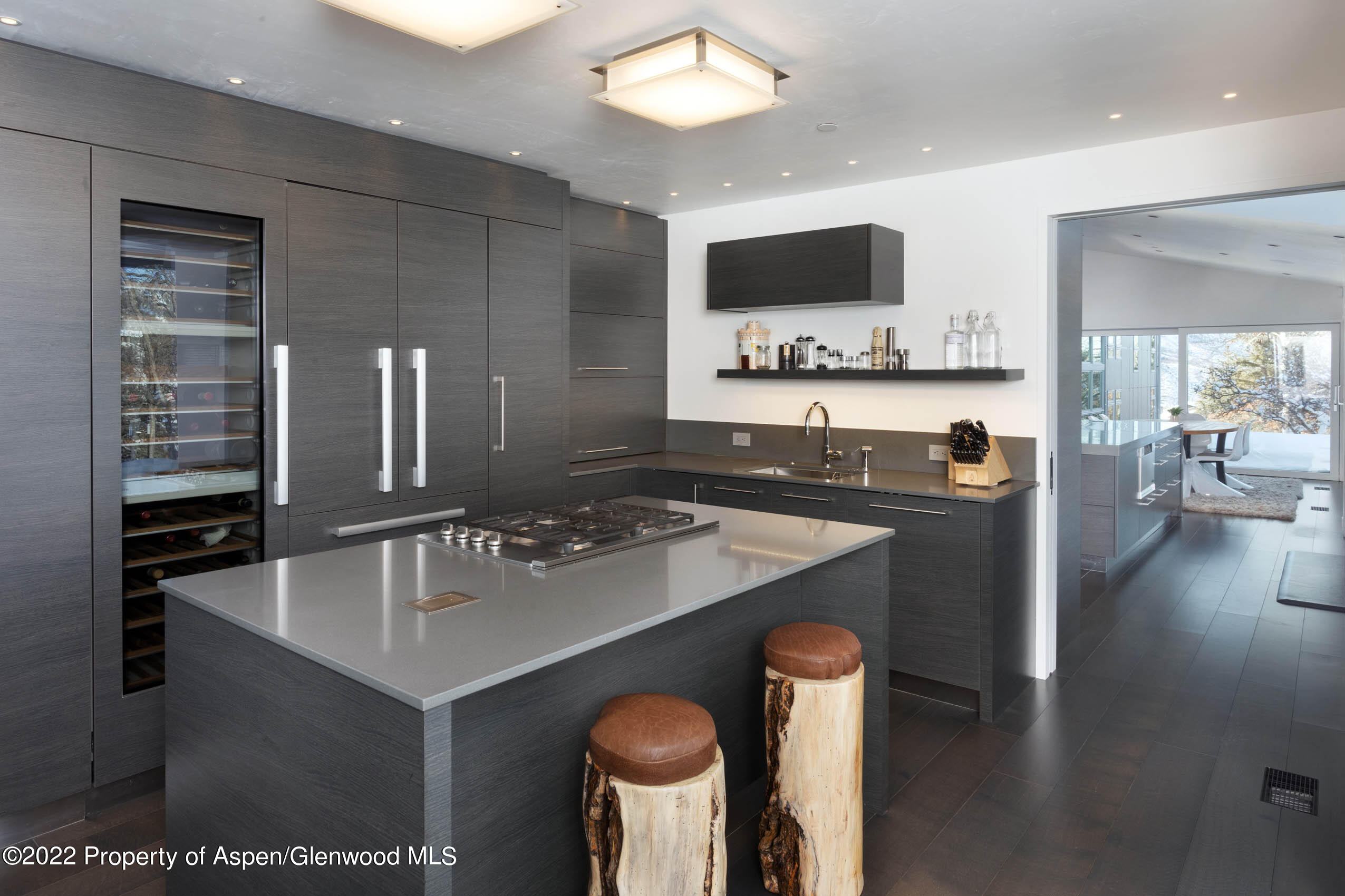 2780 McLain Flats Road Aspen, CO 81612 - Photo 41 of 46 a kitchen with stainless steel appliances granite countertop a sink a stove and a refrigerator