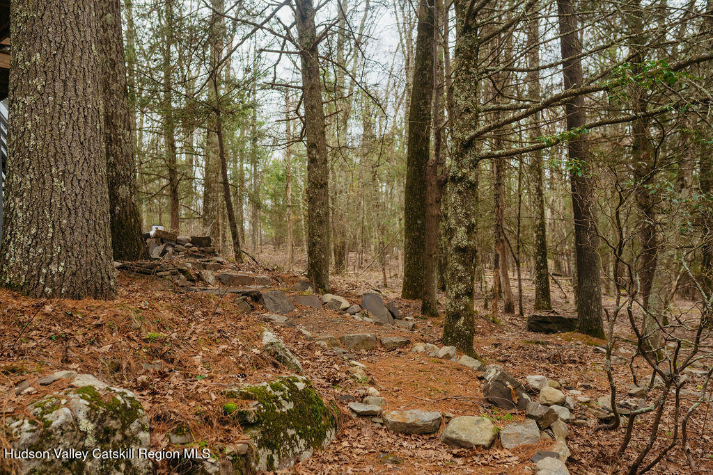 40 Northwoods Road Saugerties, NY 12477 - Photo 35 of 43 DSC_6925