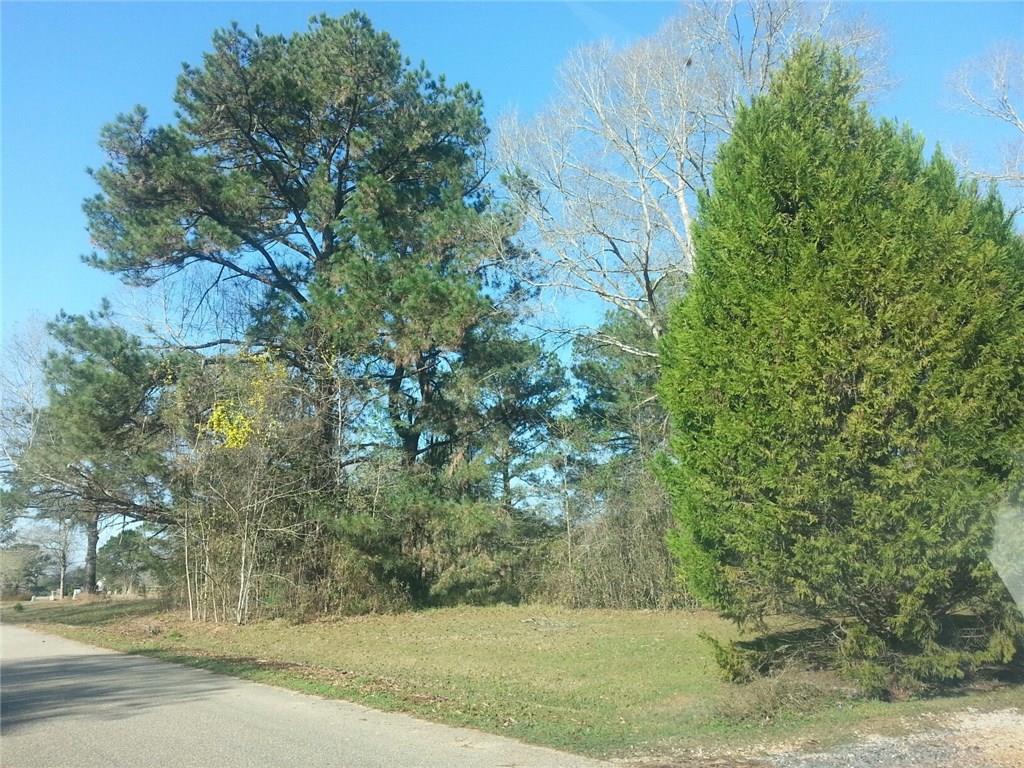 0 Turkey Ridge Road Bush, LA 70431 - Photo 1 of 3