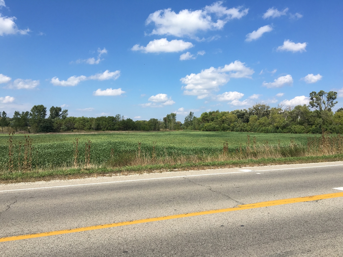 1154 Route 173 Spring Grove, IL 60081 - Photo 2 of 8 a view of lake with green space