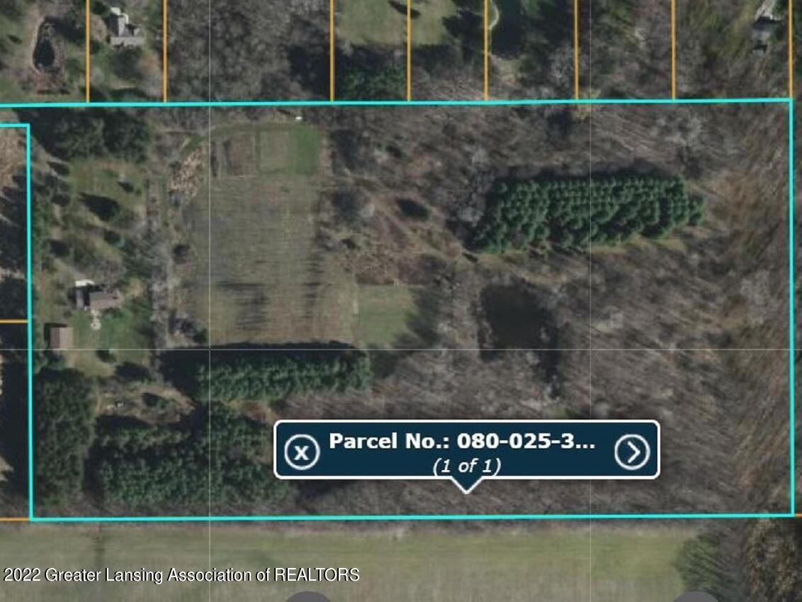 3378 North Michigan Road Dimondale, MI 48821 - Photo 52 of 52 52 Land Layout
