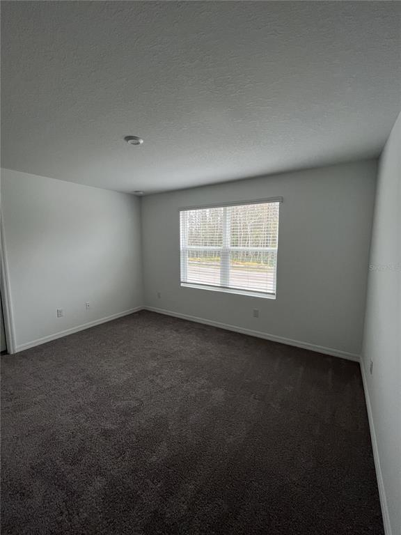 34142 Polacca Lane Wesley Chapel, FL 33543 - Photo 23 of 30