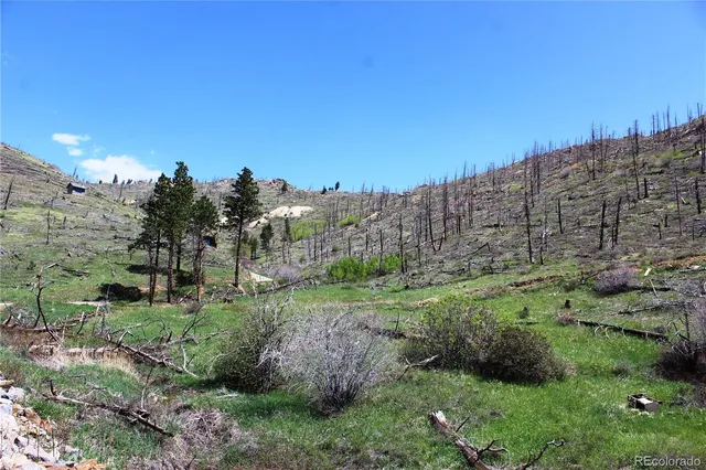 $99,000 | 0 County Road, Boulder, CO 80302