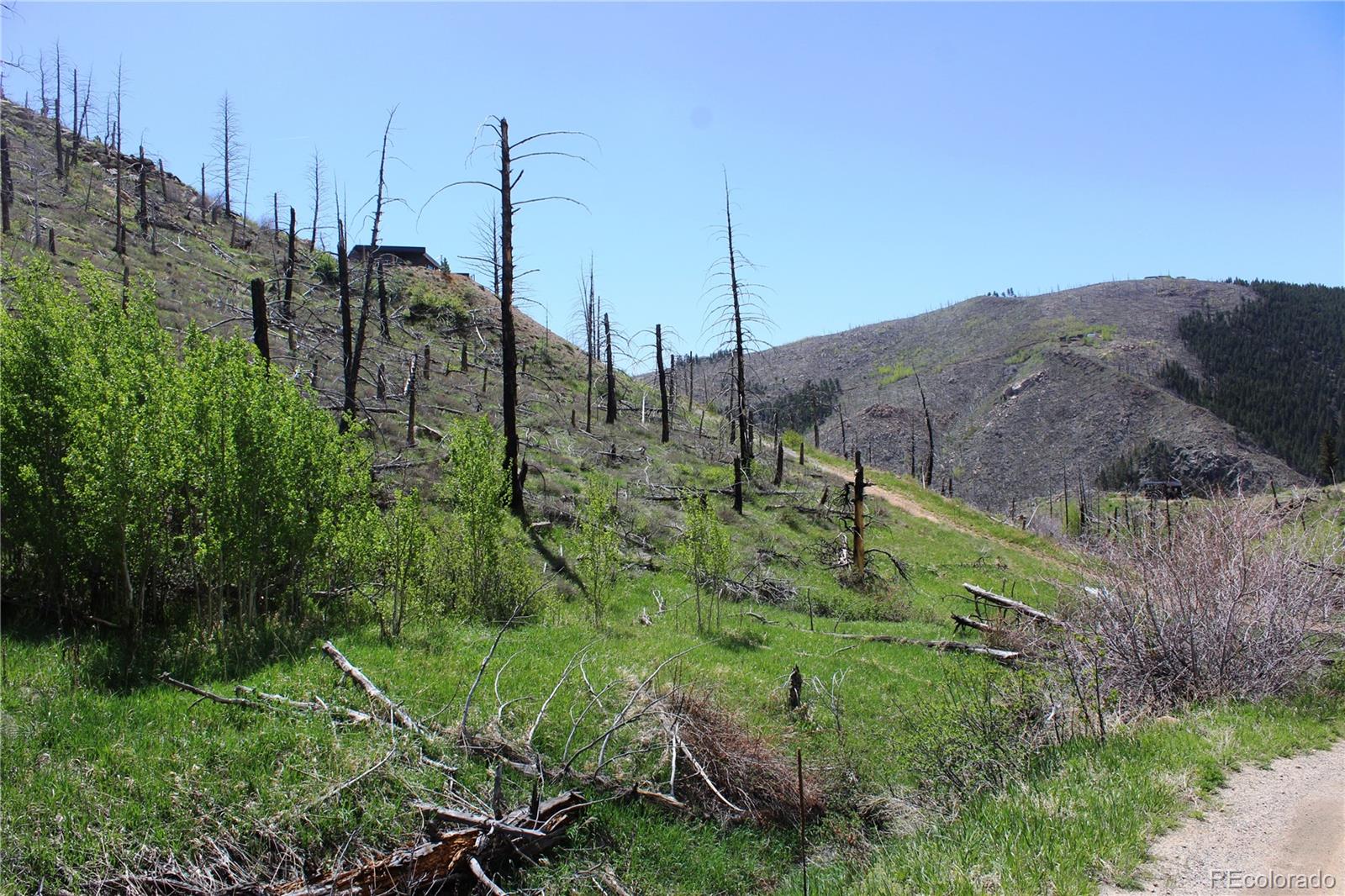 0 County Road Boulder, CO 80302 - Photo 11 of 16