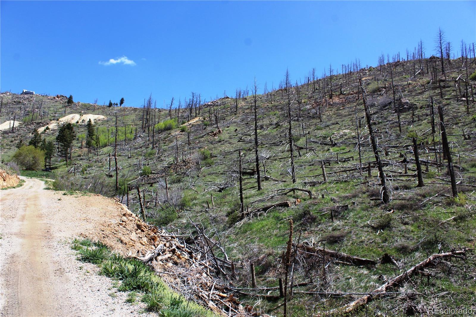 0 County Road Boulder, CO 80302 - Photo 12 of 16