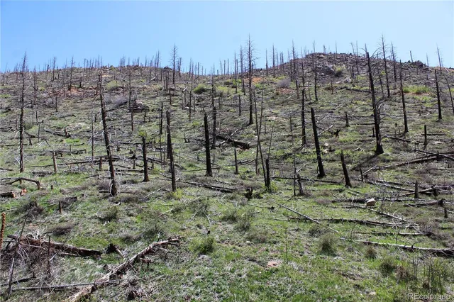 $99,000 | 0 County Road, Boulder, CO 80302