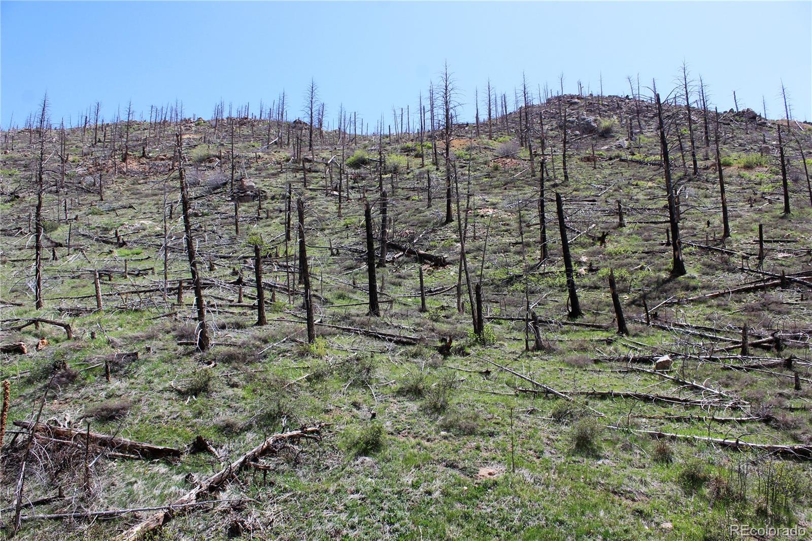 0 County Road Boulder, CO 80302 - Photo 13 of 16