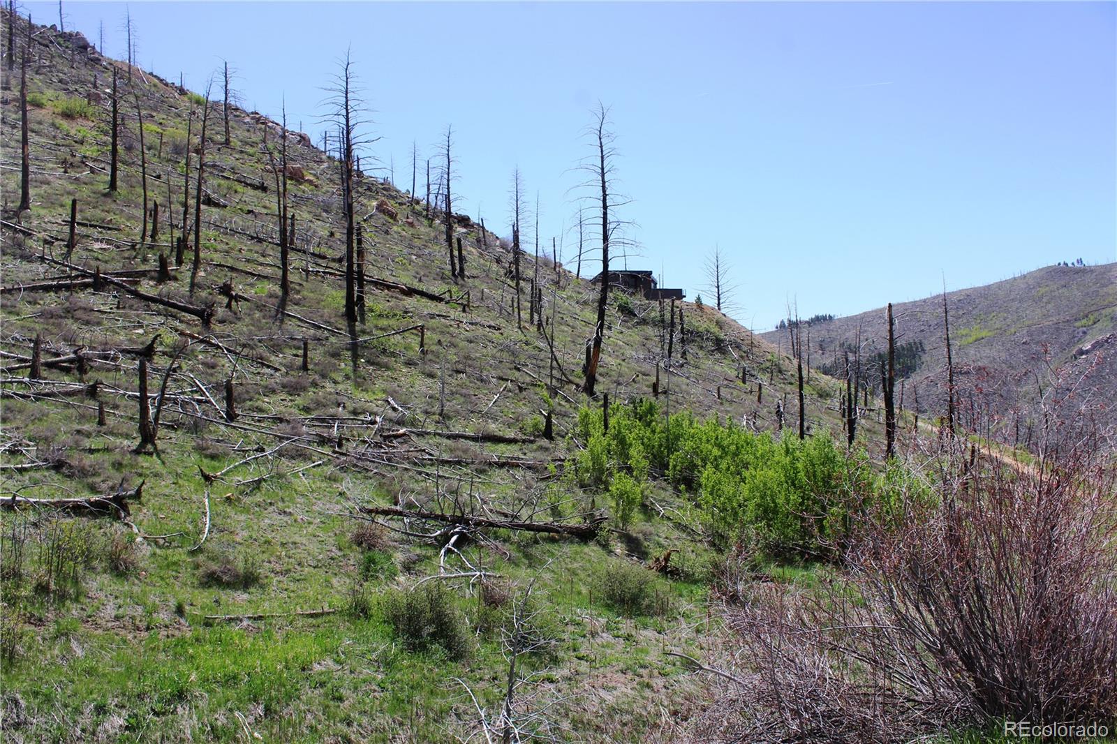 0 County Road Boulder, CO 80302 - Photo 14 of 16