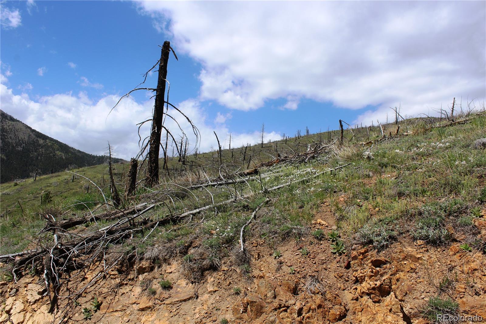 0 County Road Boulder, CO 80302 - Photo 15 of 16
