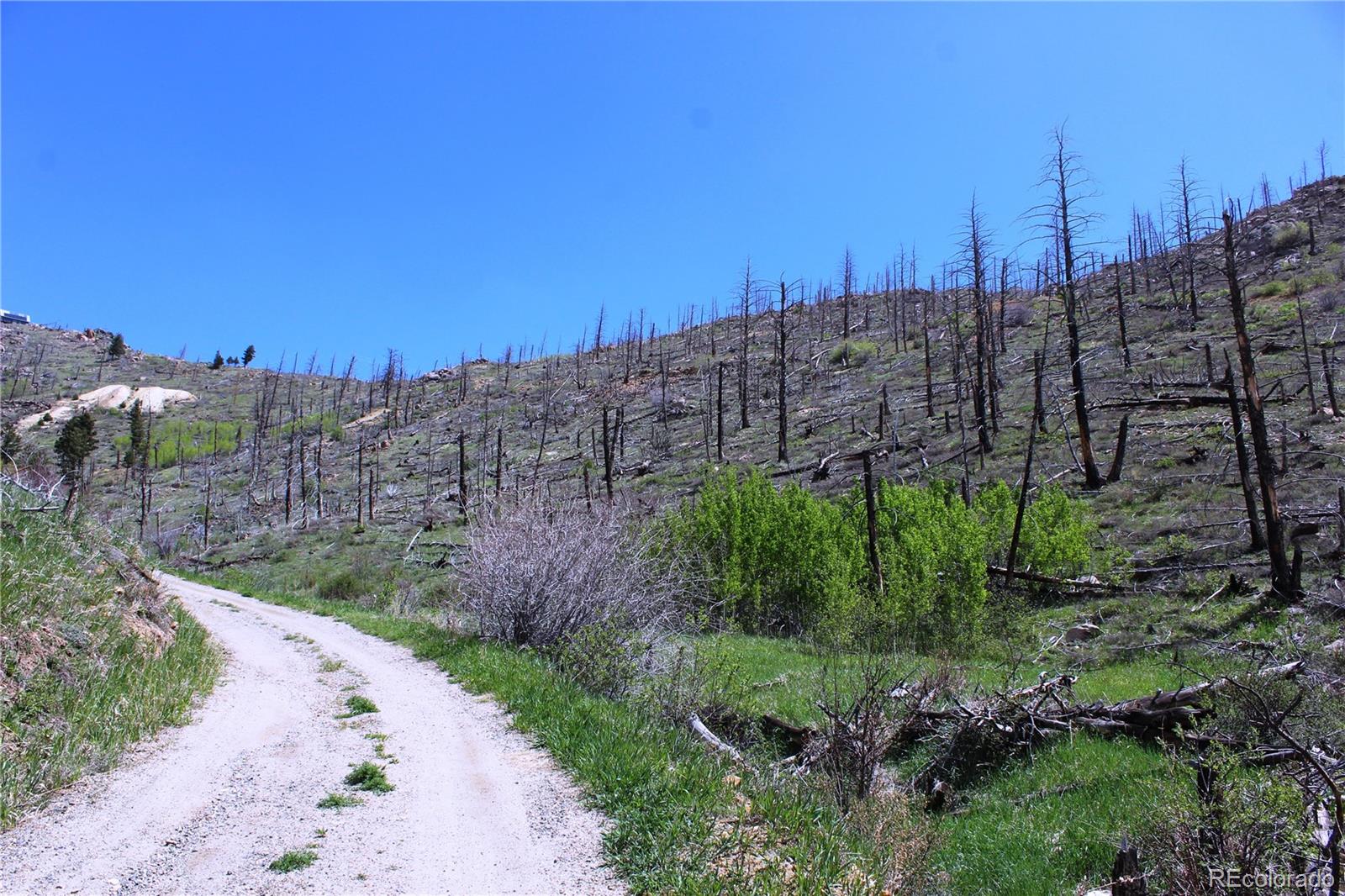 0 County Road Boulder, CO 80302 - Photo 4 of 16