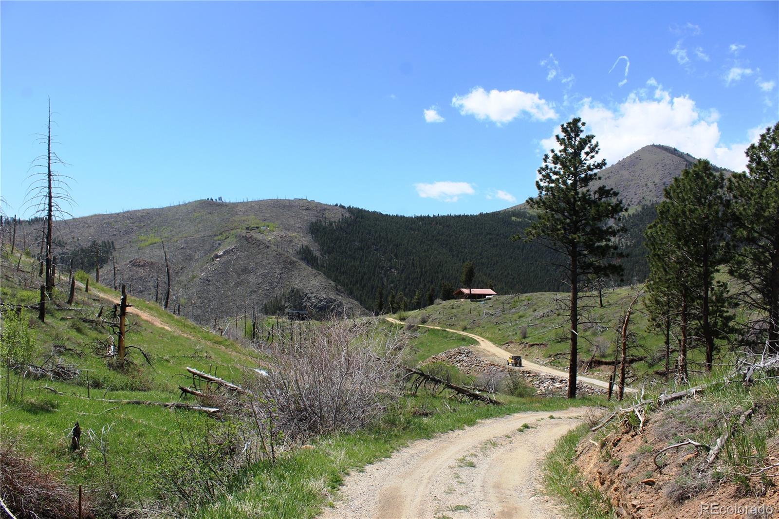 0 County Road Boulder, CO 80302 - Photo 6 of 16