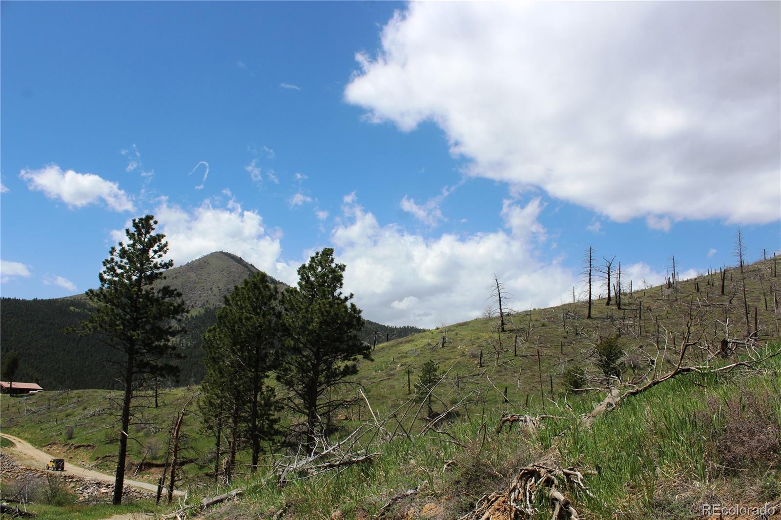 0 County Road Boulder, CO 80302 - Photo 7 of 16