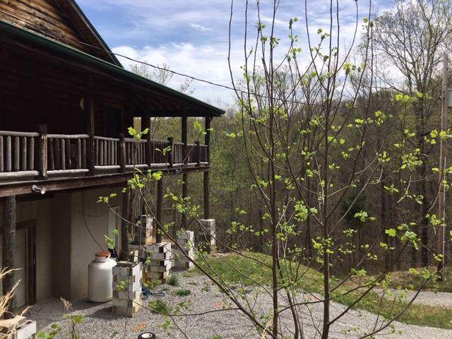 534 Dodson Road Pikeville, TN 37367 - Photo 28 of 39 IMG_7445