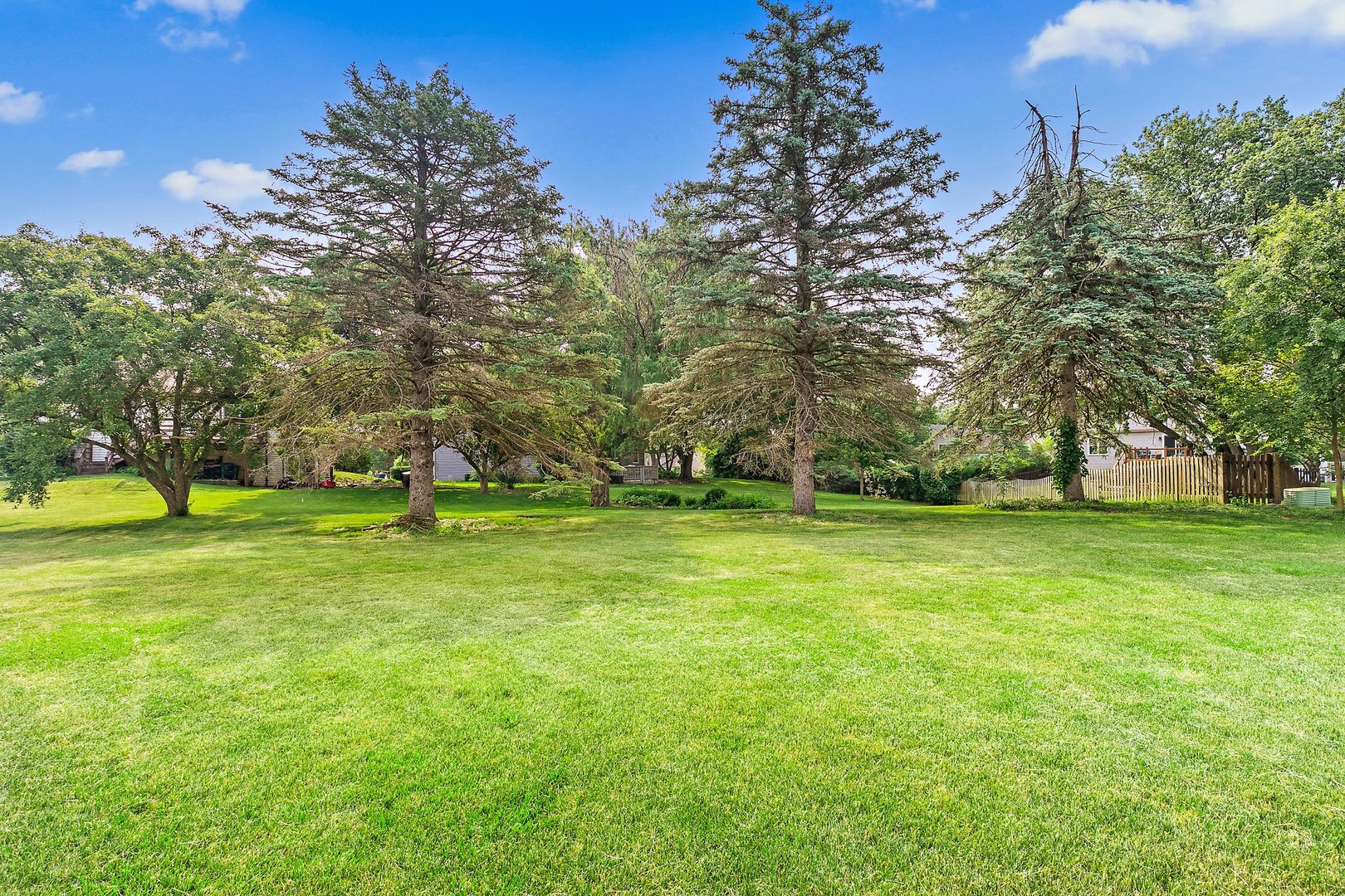 114 Sherman Street Bartlett, IL 60103 - Photo 16 of 17 a view of a park with large trees