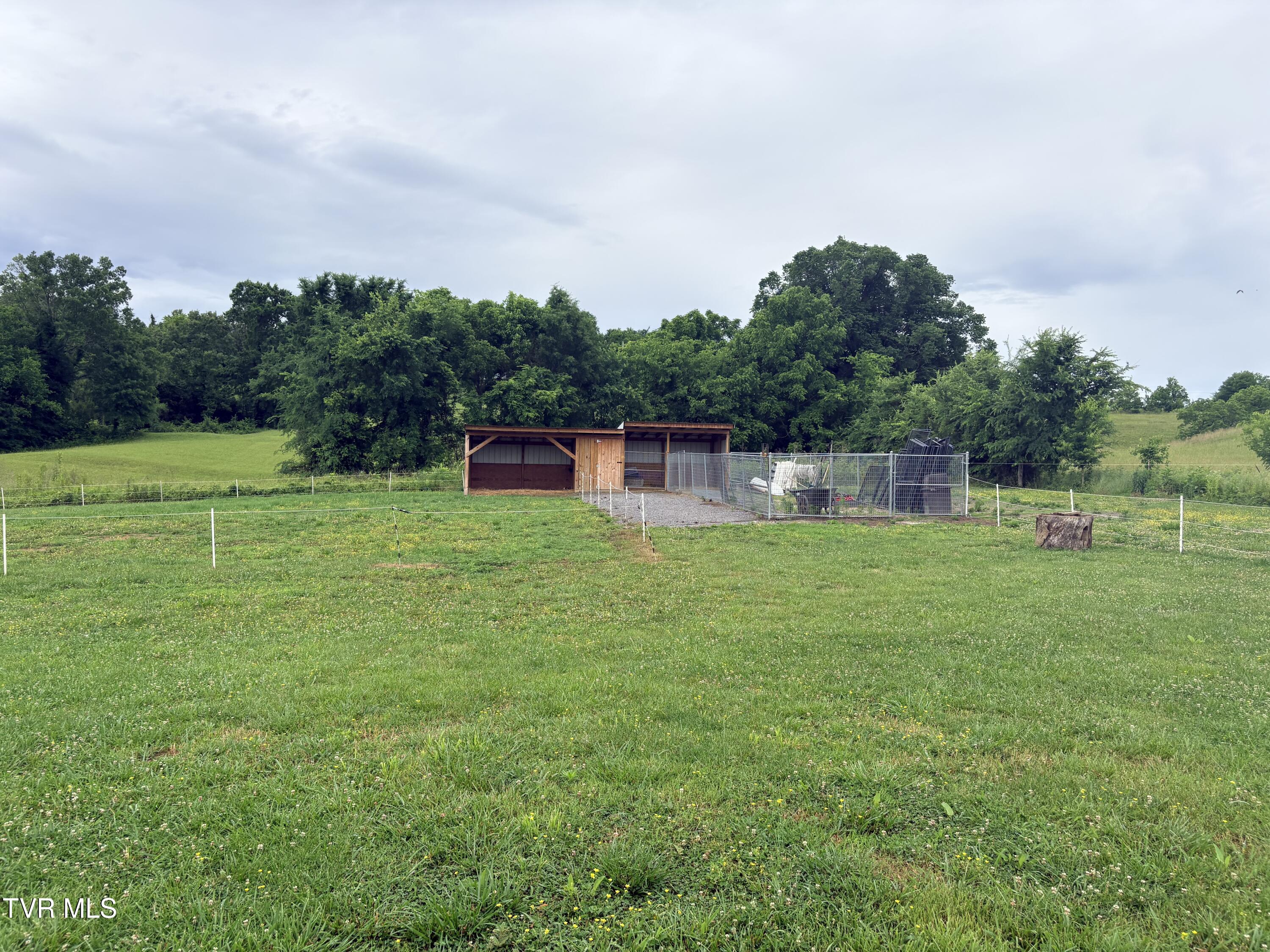 830 Toby Road Mohawk, TN 37810 - Photo 27 of 67 IMG_9885