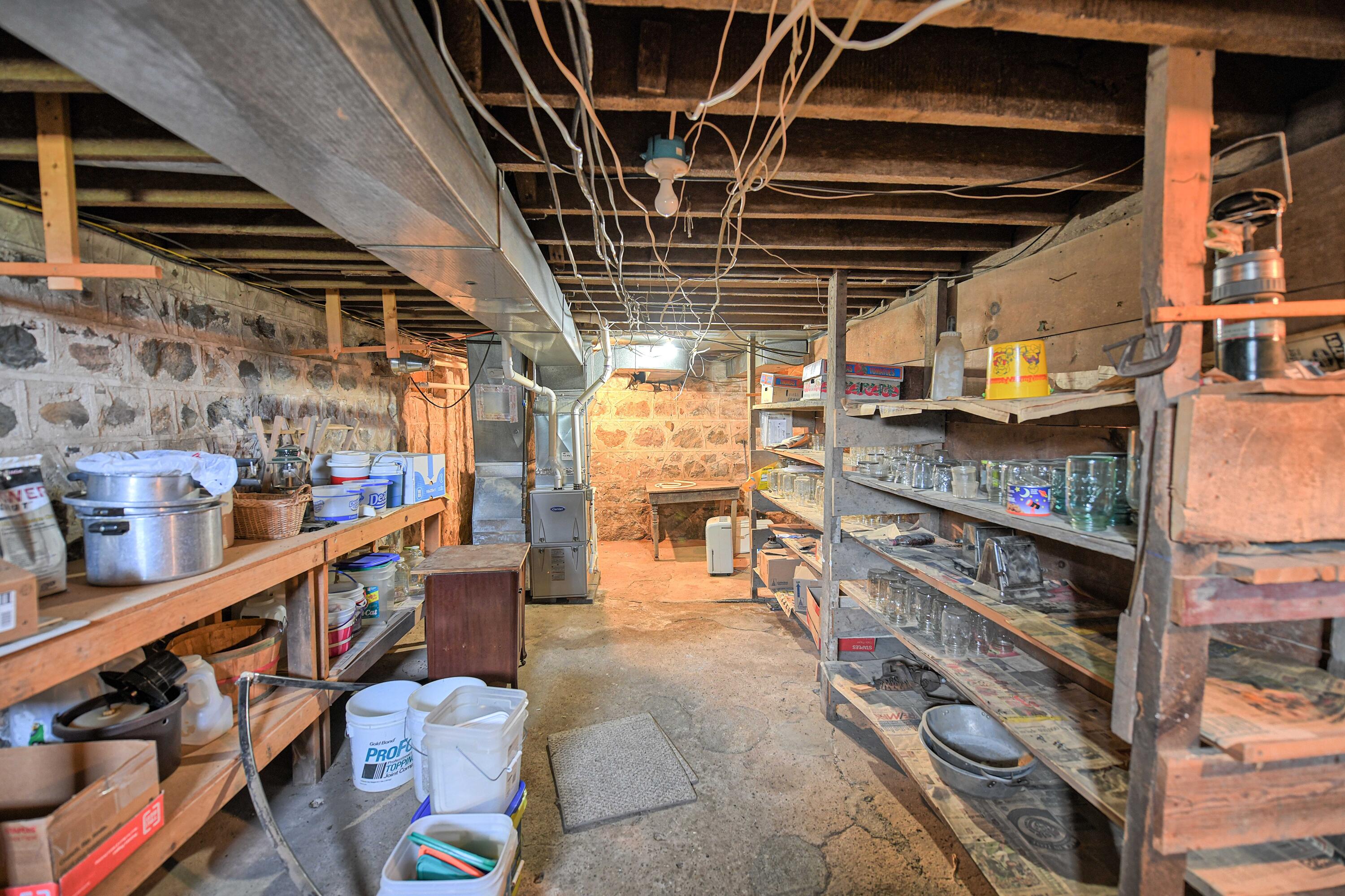 10099 Cutler Road Portland, MI 48875 - Photo 28 of 65 Basement Storage