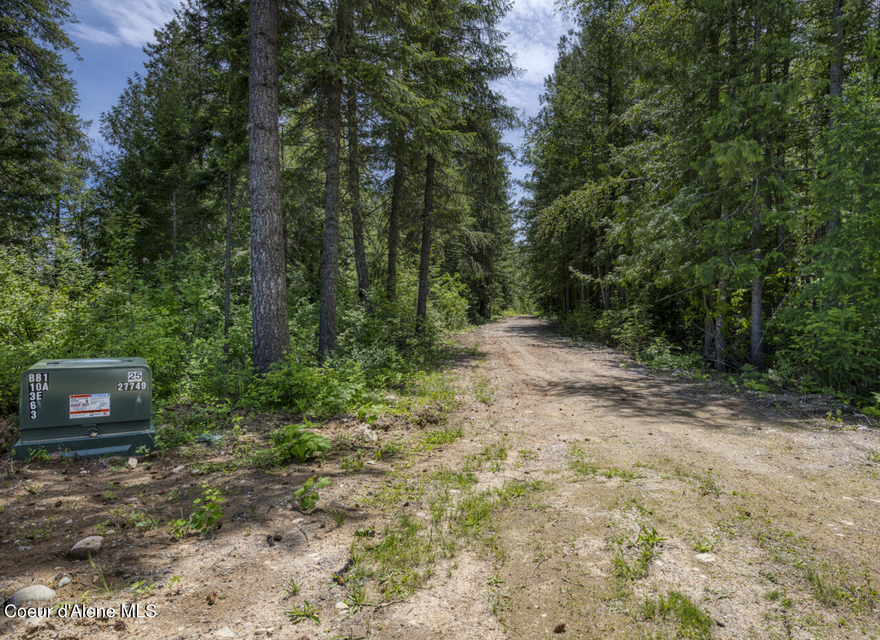 1356 Hidden Valley Road Sandpoint, ID 83864 - Photo 6 of 18 Driveway In