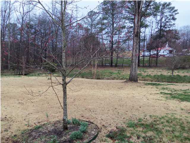 332 Lee Mason Road LaFayette, GA 30728 - Photo 7 of 18 Additional Photo