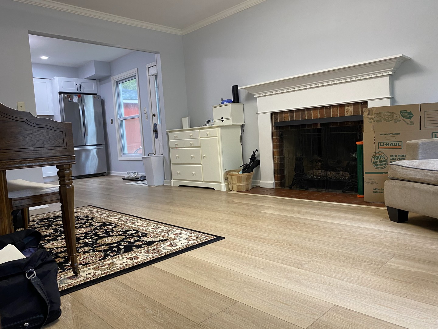 1408 Killdeer Drive Naperville, IL 60565 - Photo 11 of 43 a living room with furniture and a fireplace
