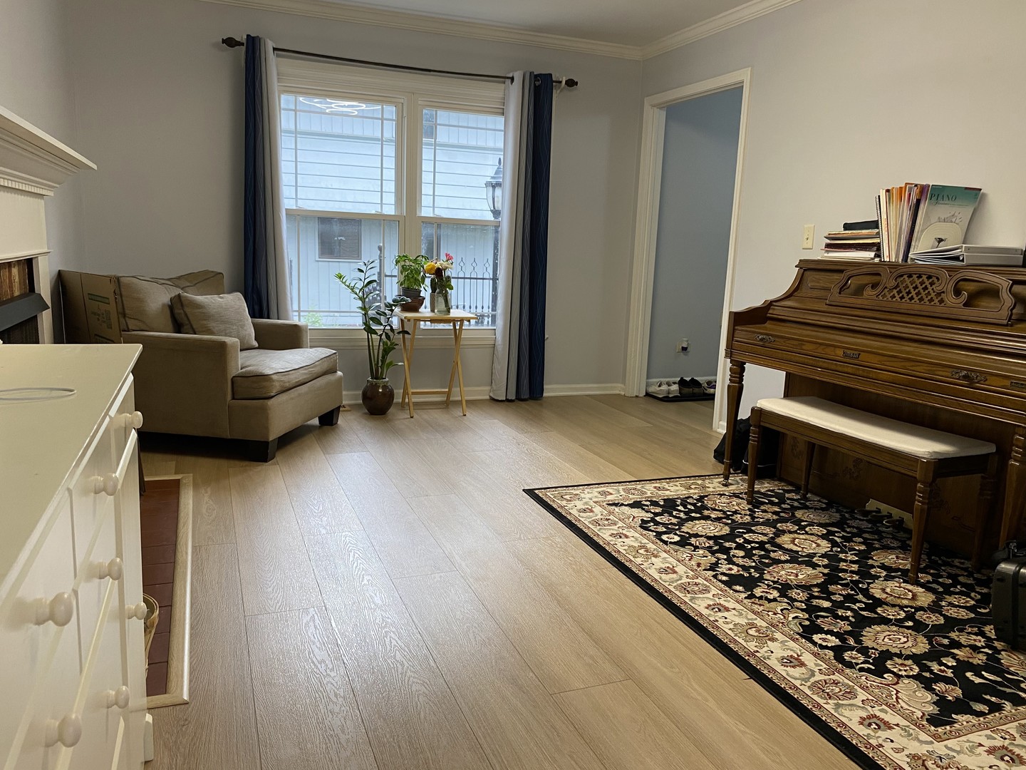 1408 Killdeer Drive Naperville, IL 60565 - Photo 12 of 43 a living room with furniture and a piano