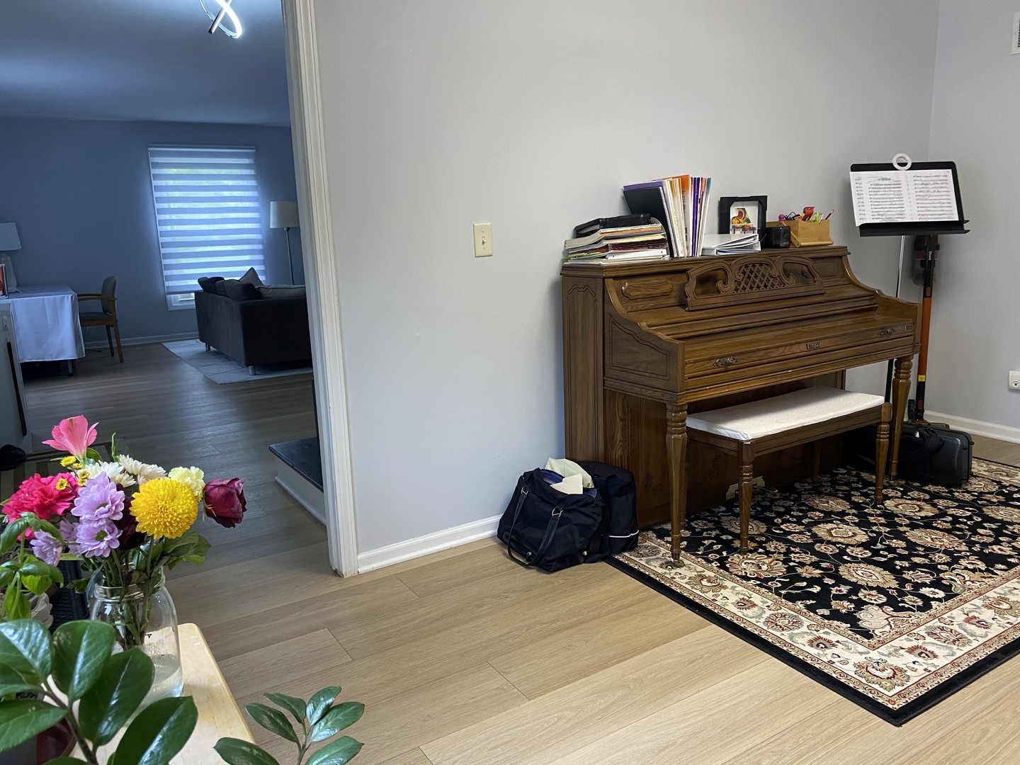 1408 Killdeer Drive Naperville, IL 60565 - Photo 14 of 43 a living room with furniture and a wooden floor