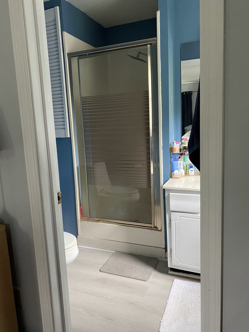 1408 Killdeer Drive Naperville, IL 60565 - Photo 30 of 43 a bathroom with a shower and a sink