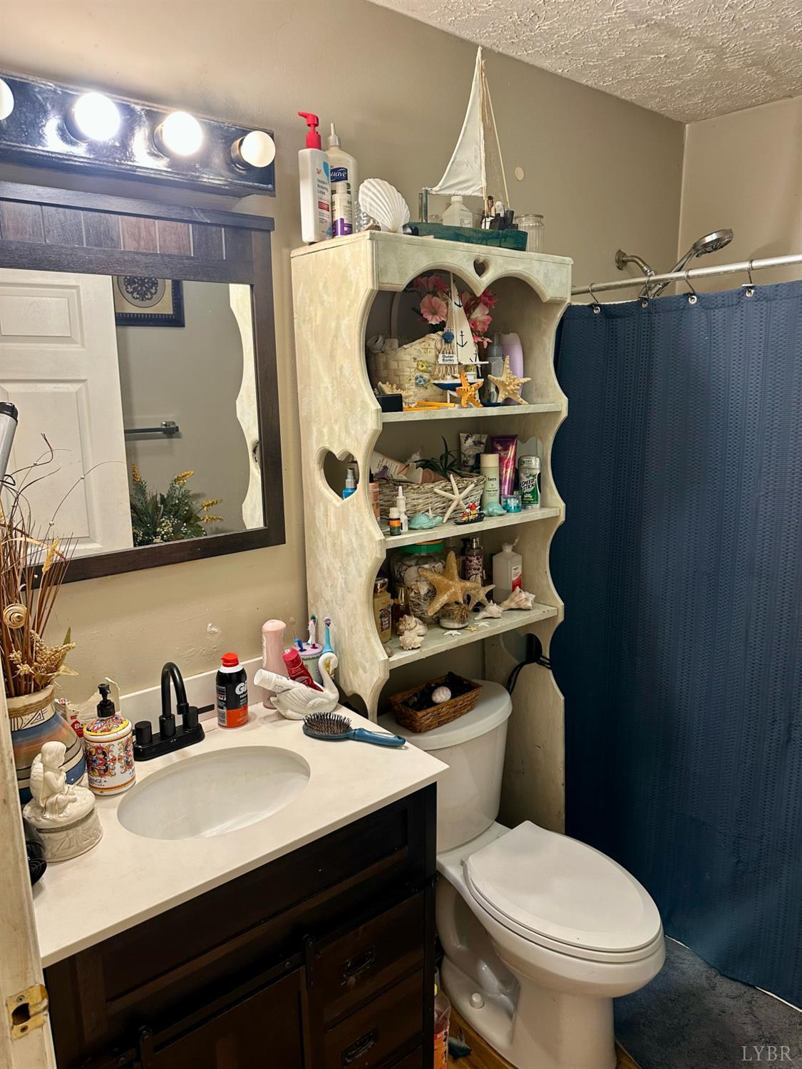 118 Claytor Road Brookneal, VA 24528 - Photo 21 of 26 a bathroom with a sink vanity mirror and toilet
