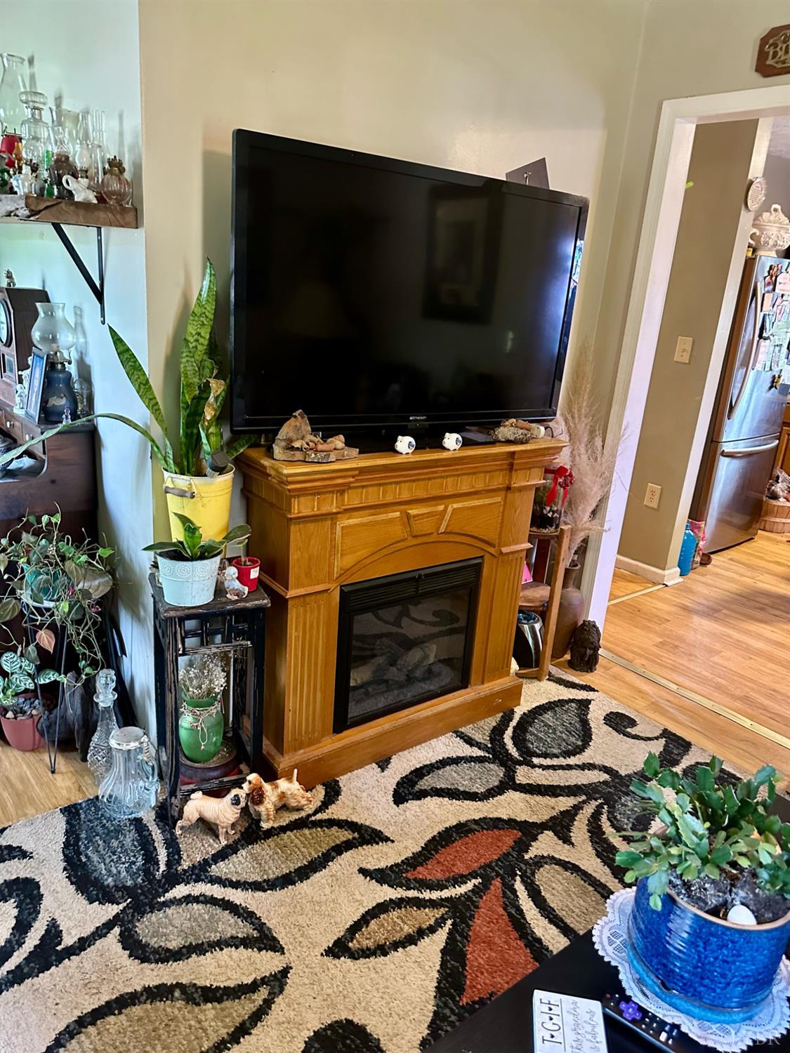 118 Claytor Road Brookneal, VA 24528 - Photo 8 of 26 a room with fireplace furniture and a potted plant