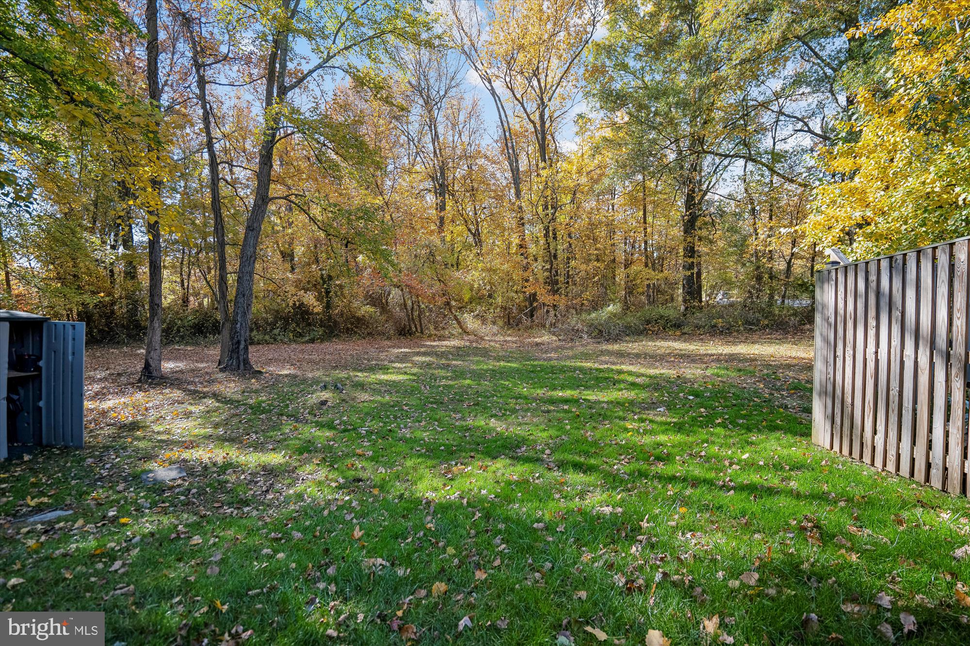 986 Breakwater Drive Annapolis, MD 21403 - Photo 23 of 31 a backyard of a house with lots of green space