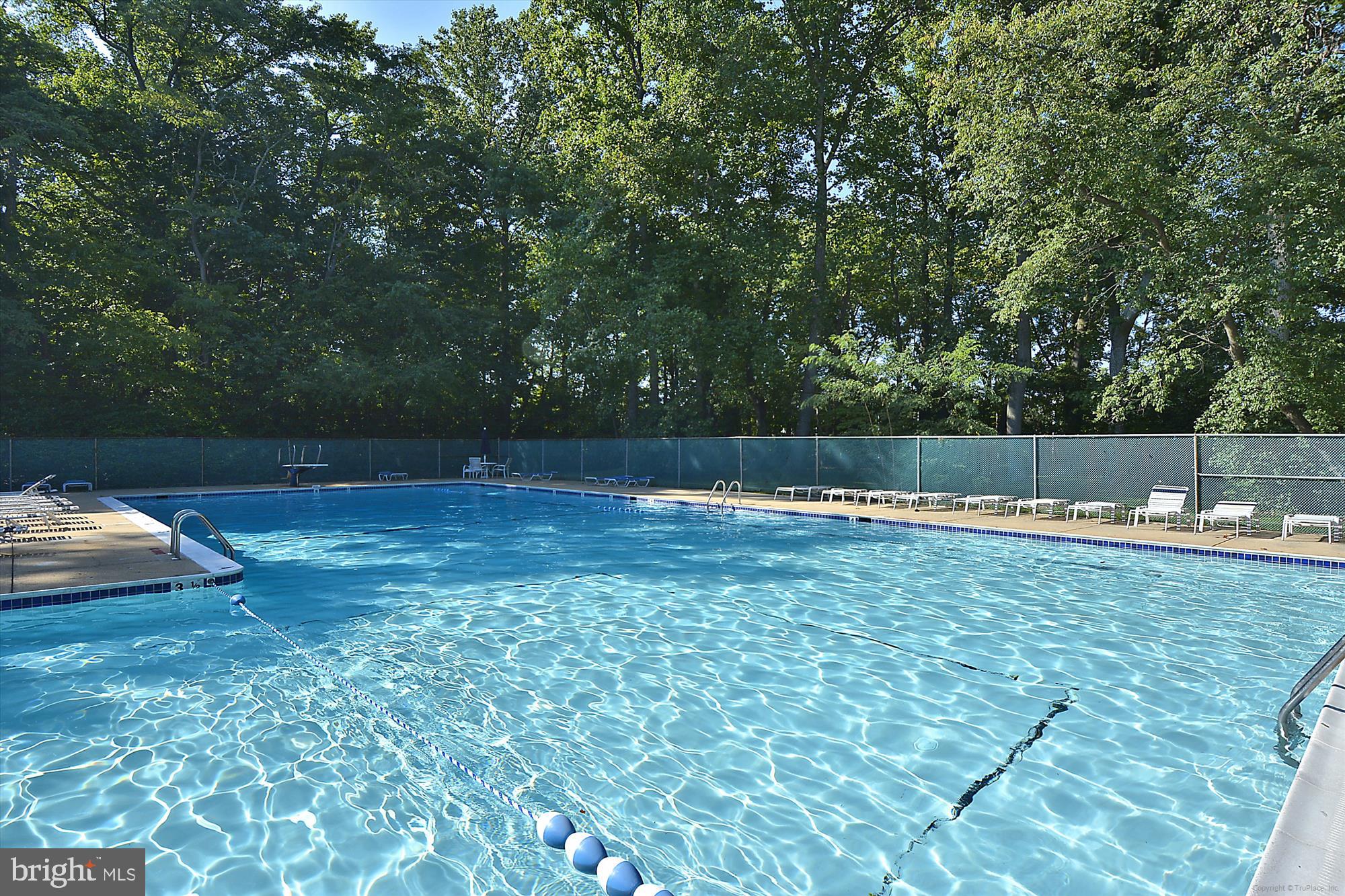986 Breakwater Drive Annapolis, MD 21403 - Photo 26 of 31 a view of yard with swimming pool and trees in the background