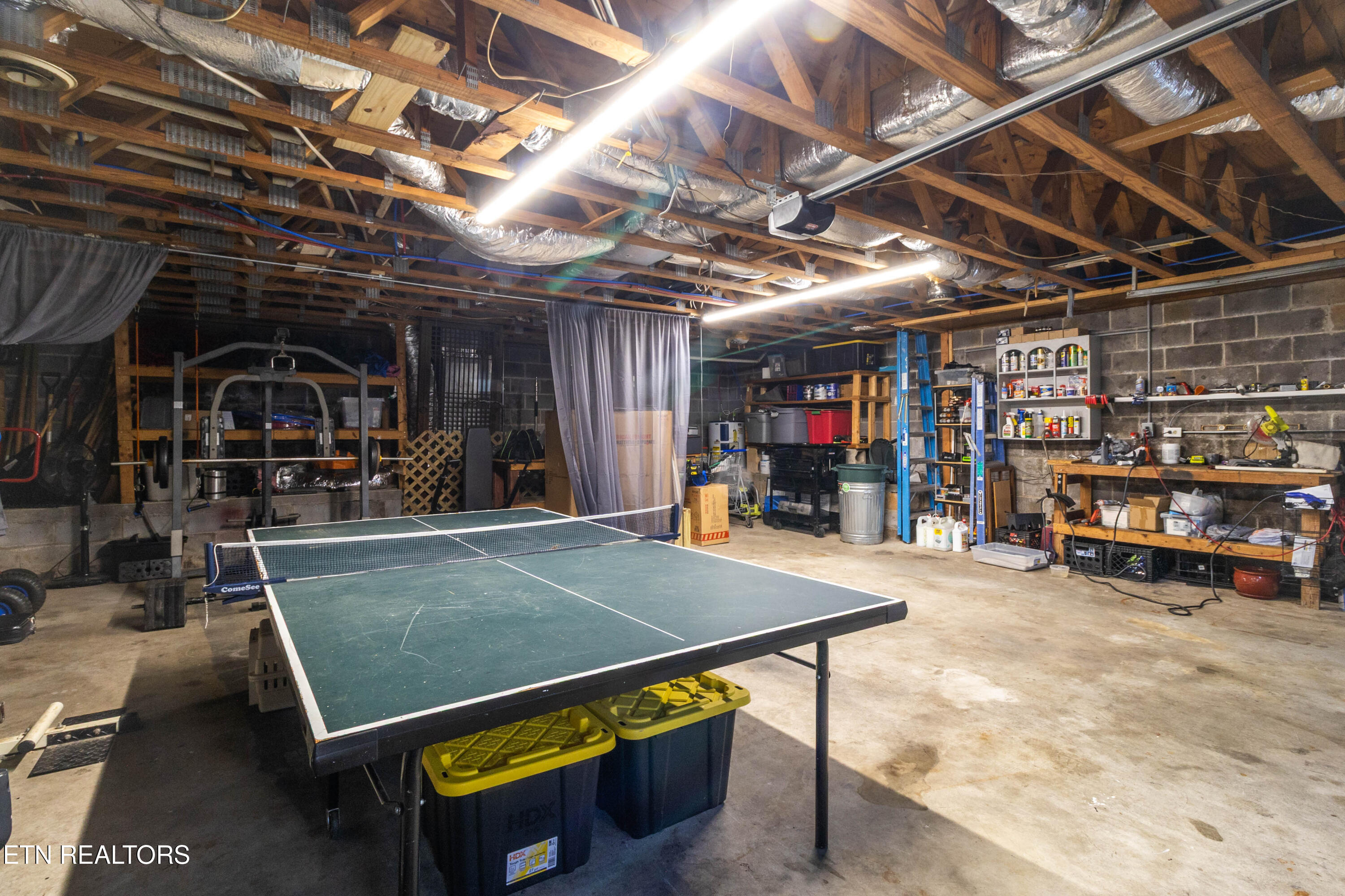 5524 Carter Road Knoxville, TN 37918 - Photo 53 of 57 1U6A5479