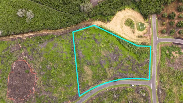 a bird view of a garden