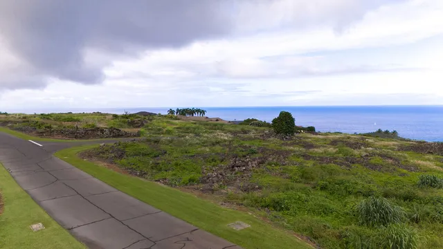 a view of a lake with a city
