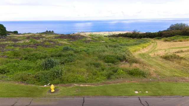 a view of an ocean and a yard