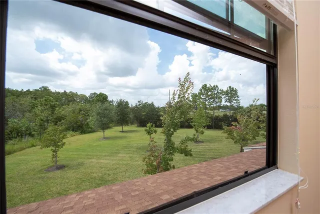 a view of a yard from a window