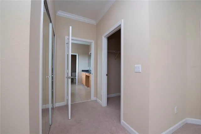 a view of a room with racks on the wall