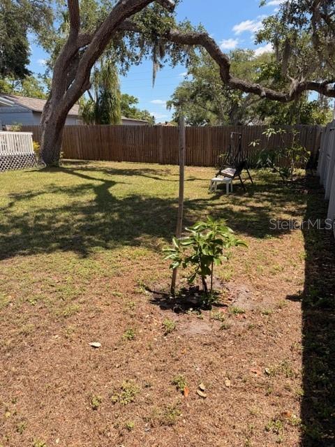 519 Norfolk Street Dunedin, FL 34698 - Photo 32 of 32